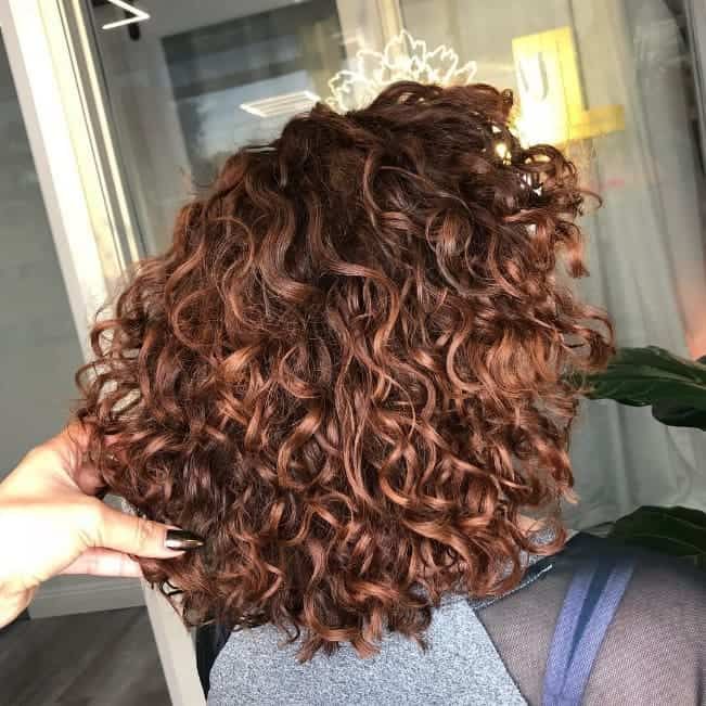 30 Hottest Curly Hair Highlights to Make Heads Turn Hair Highlight Trends, Lavender Grey Hair, Curly Hair Highlights, Curly Highlights, Highlights For Dark Brown Hair, Curly Hair Trends, Auburn Color, Dyed Curly Hair, Red Blonde Hair