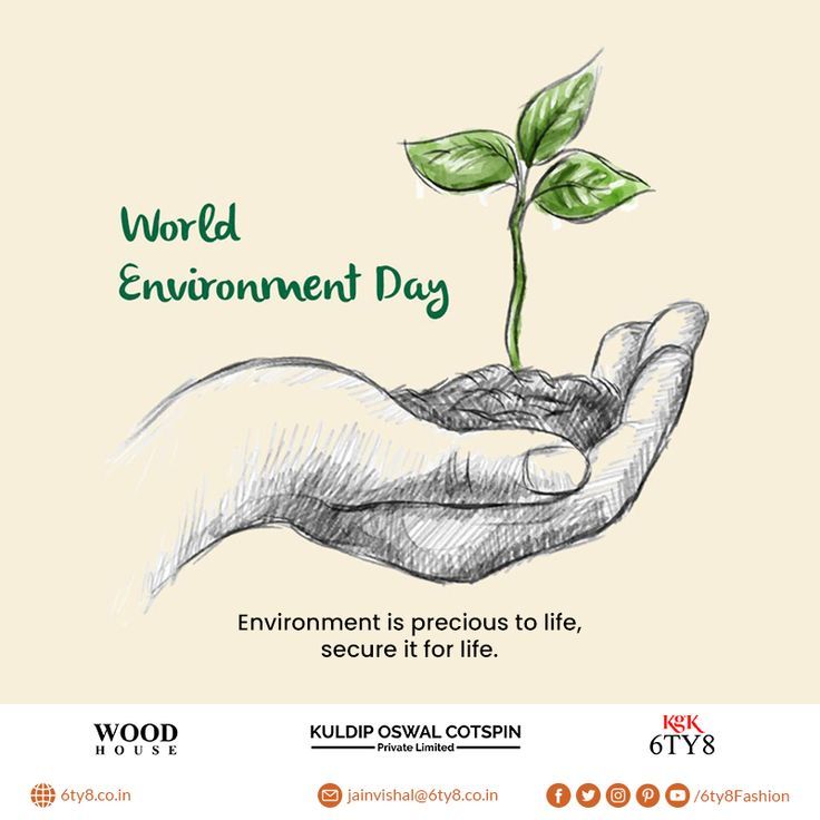 an advertisement for the world environment day with a hand holding a small green sprout