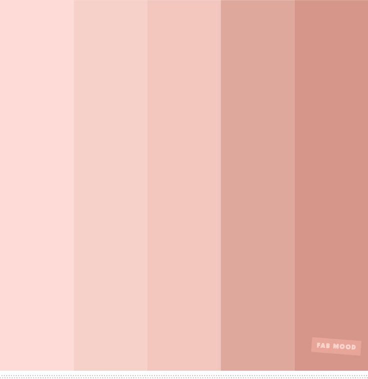 a pink color palette with different shades