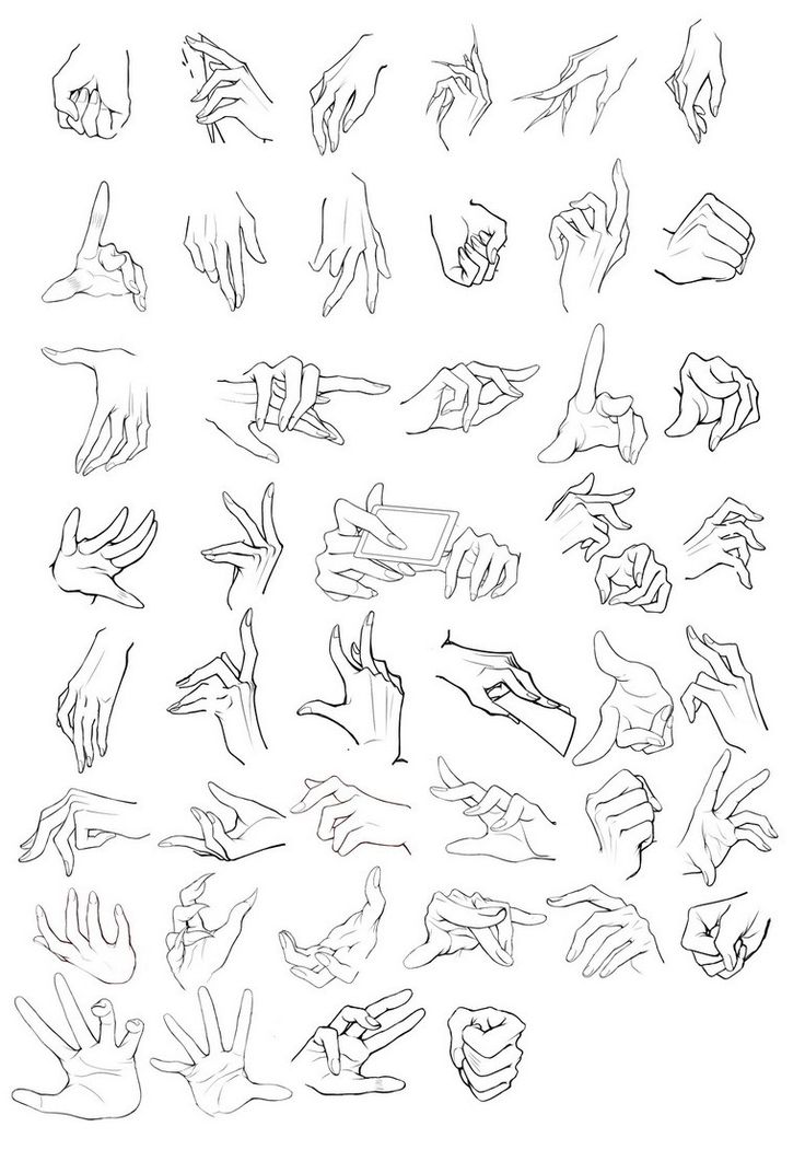 a drawing of many different hands and fingers