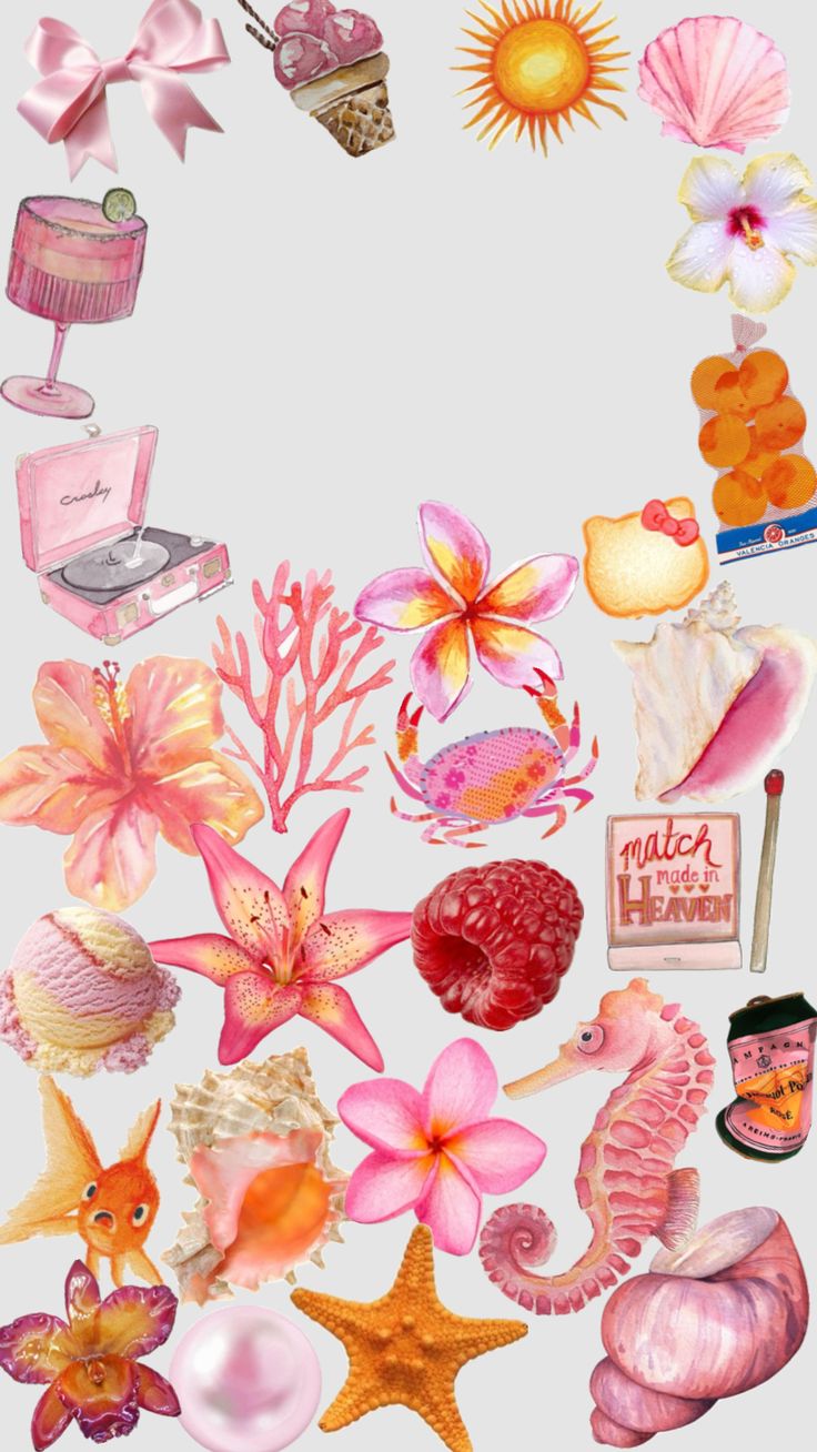 an assortment of pink and orange items on a white background, including seashells