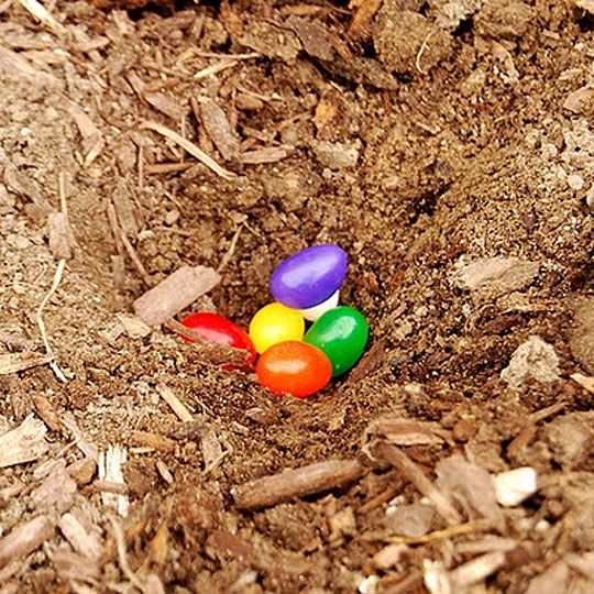 three small colorful eggs in the dirt