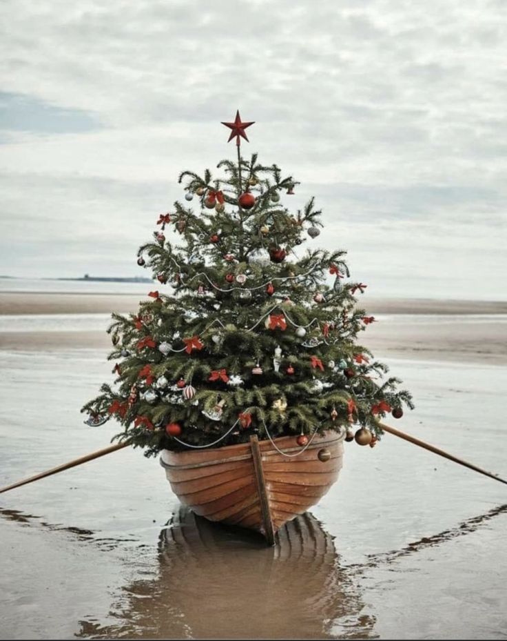 a christmas tree in a boat on the beach