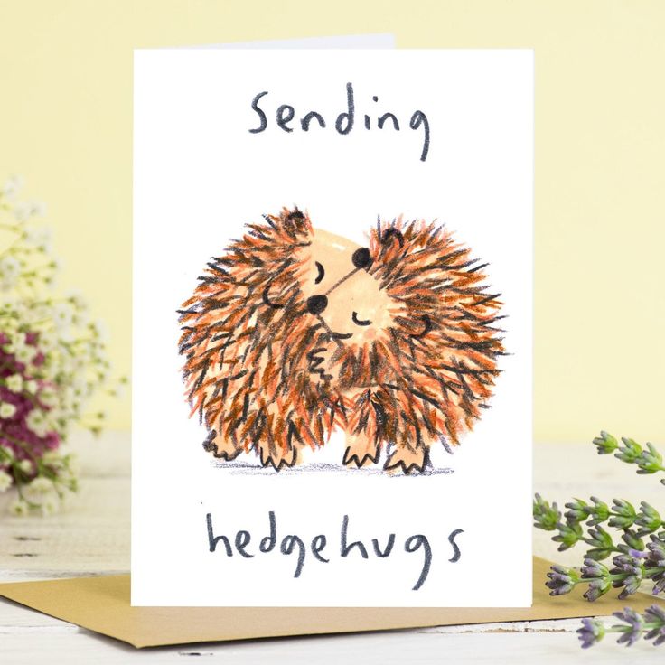 a greeting card with an illustration of a hedgehog hugging its owner's face