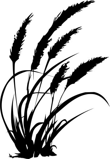 black and white silhouette of grass on a white background