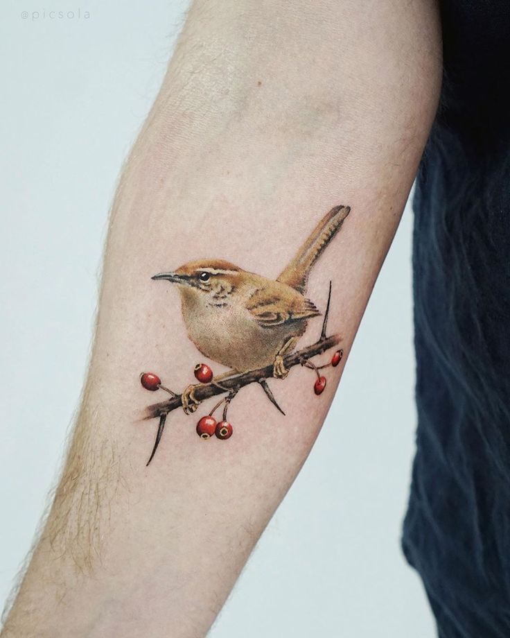 a bird sitting on top of a branch with berries