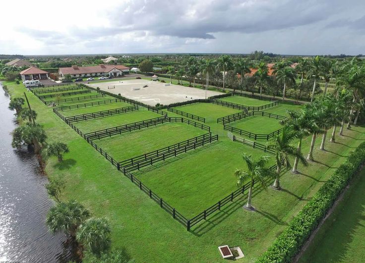 an aerial view of a horse farm with water and palm trees