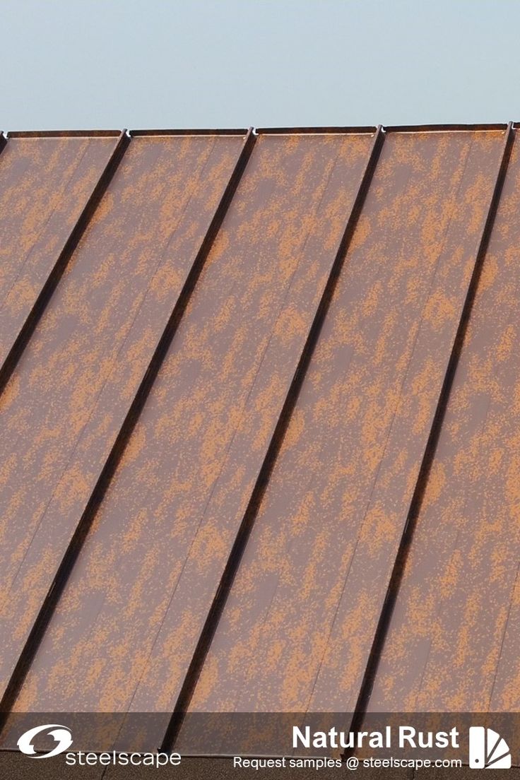 a bird sitting on top of a metal roof next to a building with rust stains