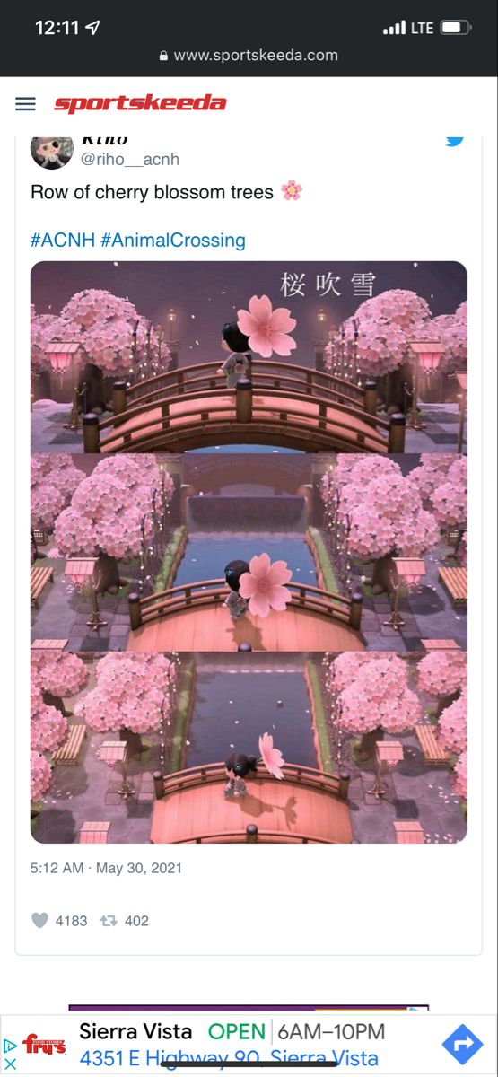 the twitter post has been altered to look like it is floating in water with pink flowers