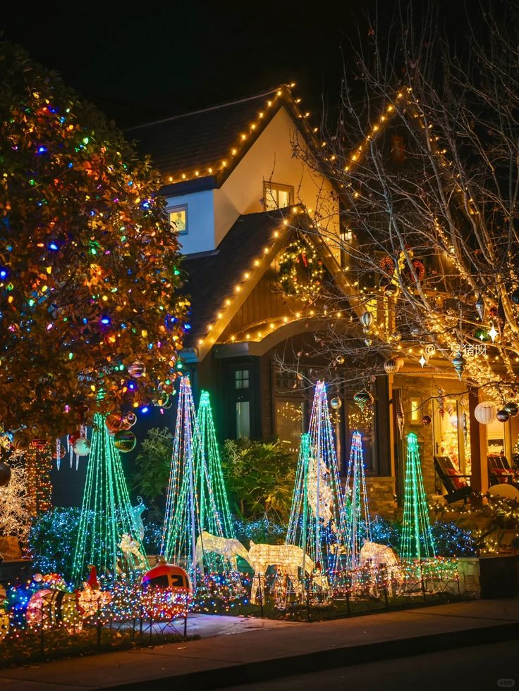 christmas lights decorate the front yard of a house