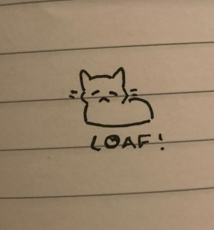 a drawing of a cat with the word loaf written on it's side in black ink