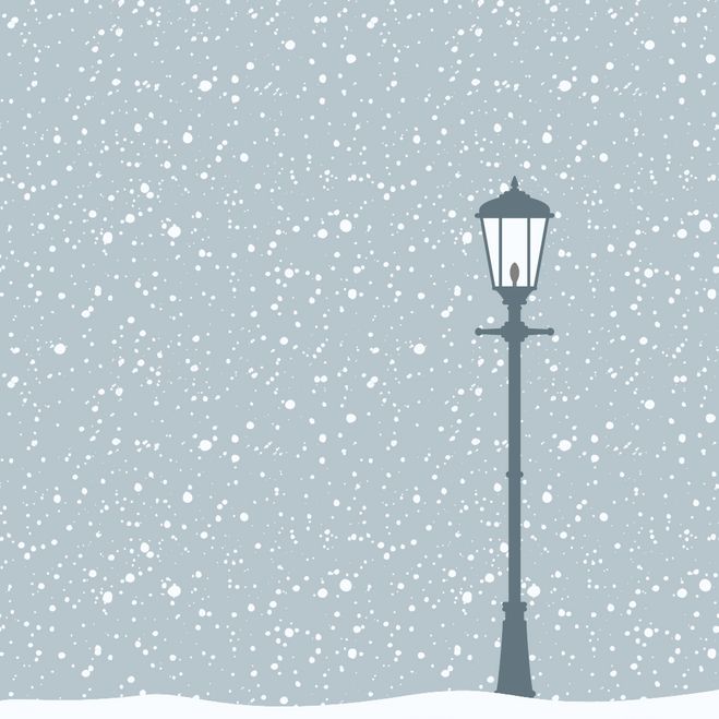 a street light in the snow on a snowy day with lots of snow falling all around