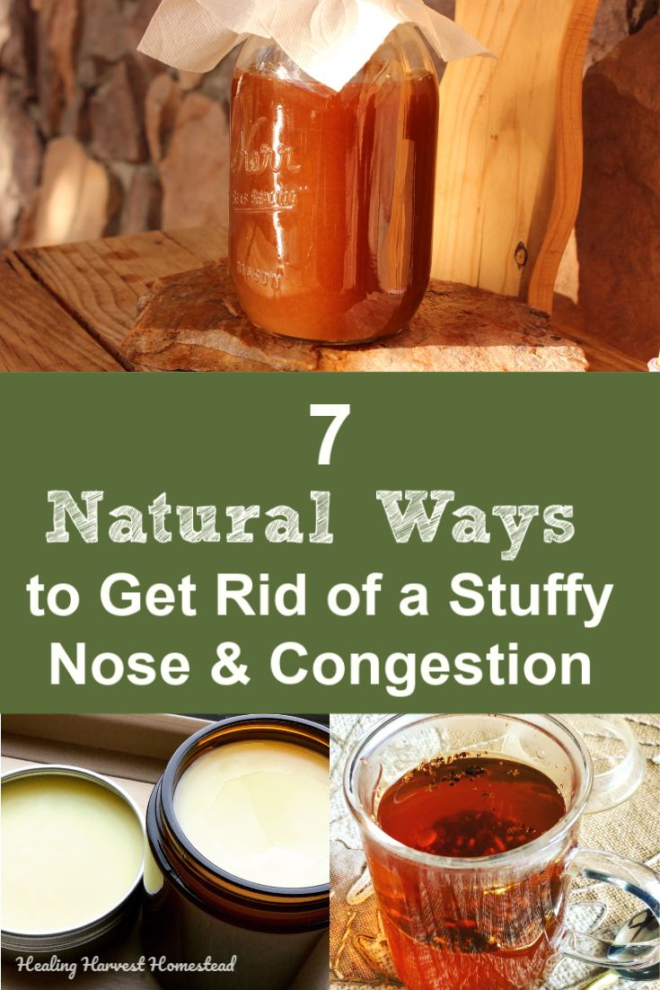 Have a stuffy nose due to seasonal allergies or a bad cold? If you need some natural ways to get rid of congestion, here are seven easy tips for you. These natural decongestants will help you feel better fast! #allergy #badcold #decongestant #congestion #sinus #stuffynose #getridof #healingharvesthomestead Remedy For Sinus Congestion, Best Cough Remedy, Home Remedies For Allergies, Natural Decongestant, Stuffy Nose Remedy, Stuffy Nose, Nasal Congestion, Seasonal Allergies, Natural Cough Remedies