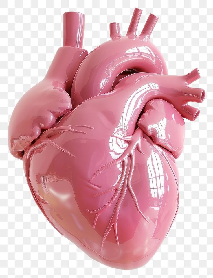 a pink human heart on a transparent background png clipart free for personal use