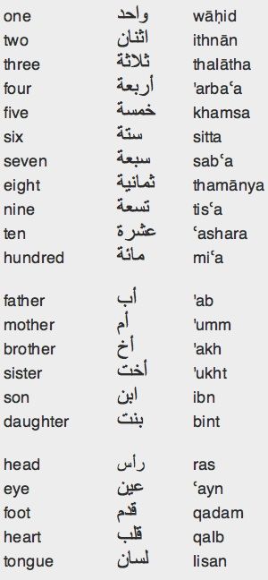 an arabic text with two different words in the same language, and one that has been written