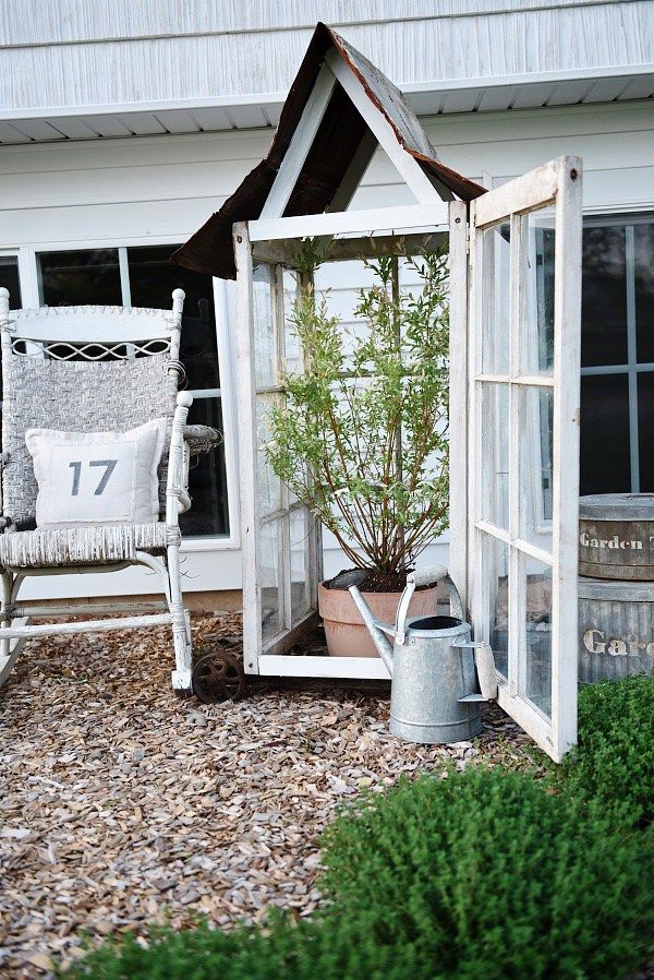 an old window is used as a planter for a small tree in the yard