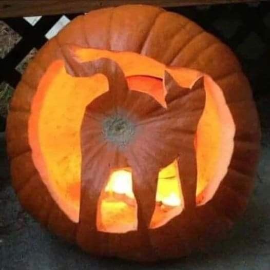 a carved pumpkin with an animal on it