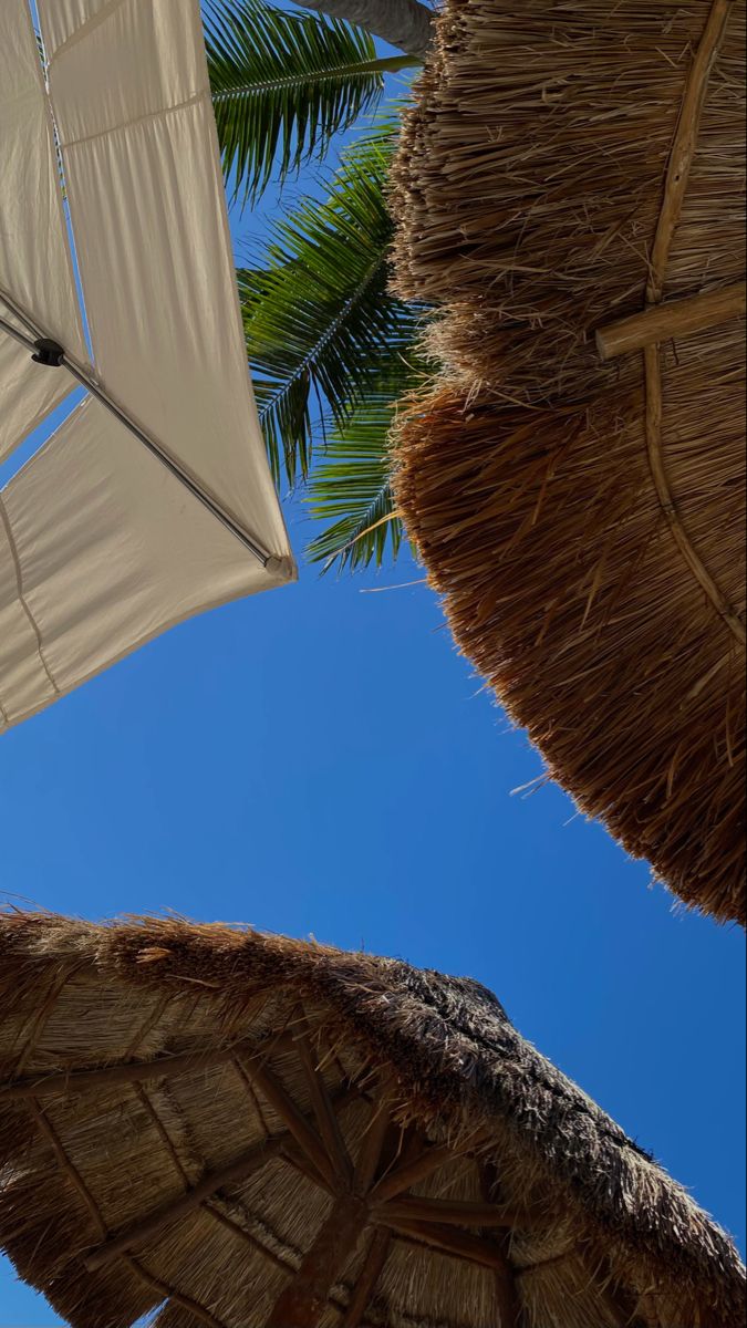 two umbrellas and some palm trees against a blue sky