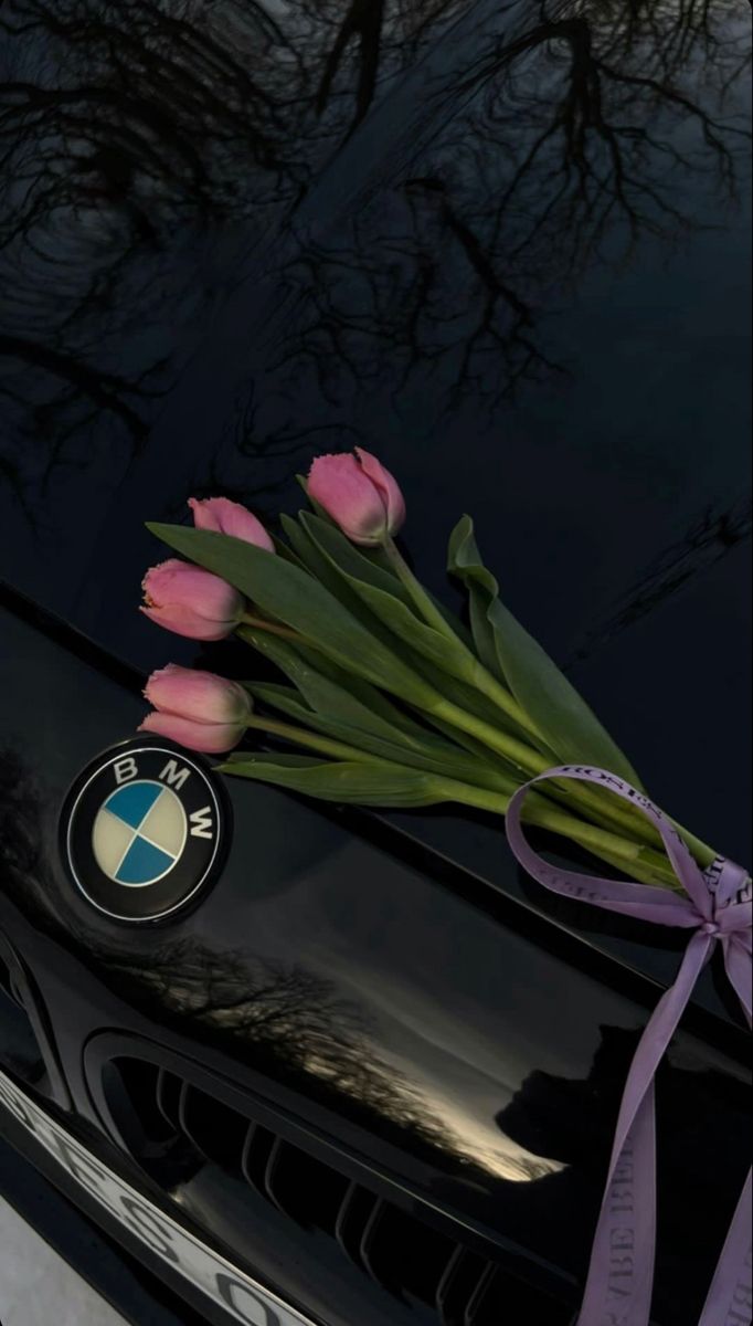 a bouquet of tulips sitting on the hood of a car with a purple ribbon tied around it