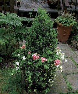 a potted plant sitting on top of a stone walkway next to a wooden deck