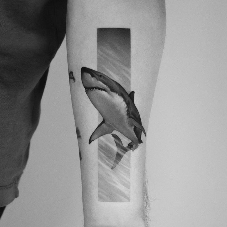 a black and white photo of a shark on the right arm with an inset behind it