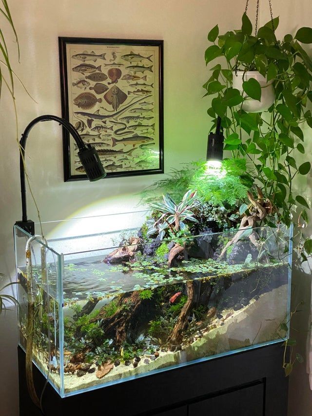 a fish tank with plants and rocks in it next to a wall mounted planter