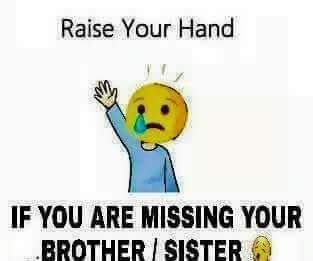 a poster with the words raise your hand if you are missing your brother / sister