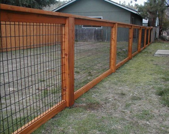 a dog is standing in front of a fenced off area with grass on the ground