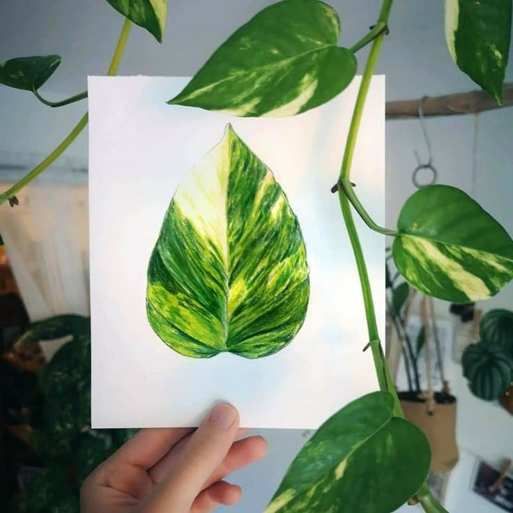 a hand holding up a piece of paper with a green leaf on it