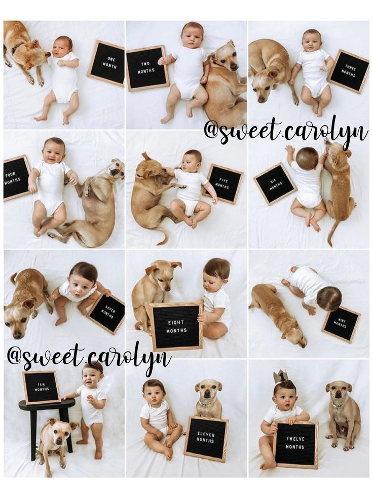 a collage of photos with baby and dogs