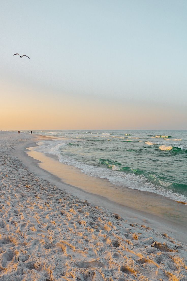 two birds flying over the ocean on a sandy beach at sunset with waves coming in