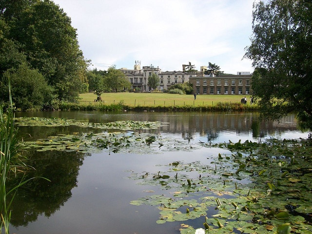 a large building sitting on top of a lush green field next to a lake filled with lily pads