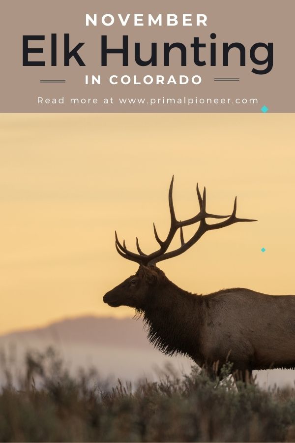 elk hunting in colorado with text overlay reading november elk hunting in colorado read more at www pimplaner com