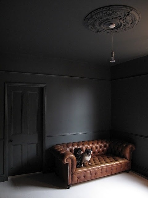 a cat sitting on top of a brown leather couch in a room with dark walls