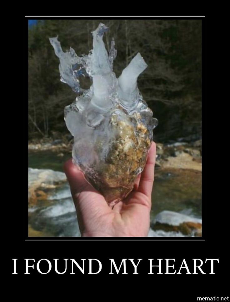 someone holding up an ice heart in front of a river and trees with the caption hey look my ex's heart