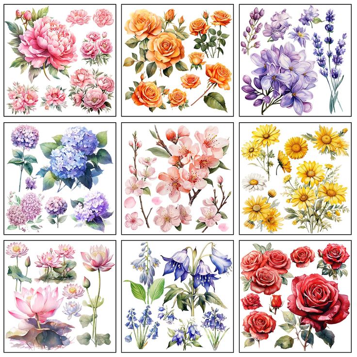 six different types of flowers are shown in this image, each with different colors and sizes