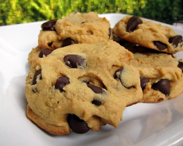 three chocolate chip cookies on a white plate with green grass in the backround