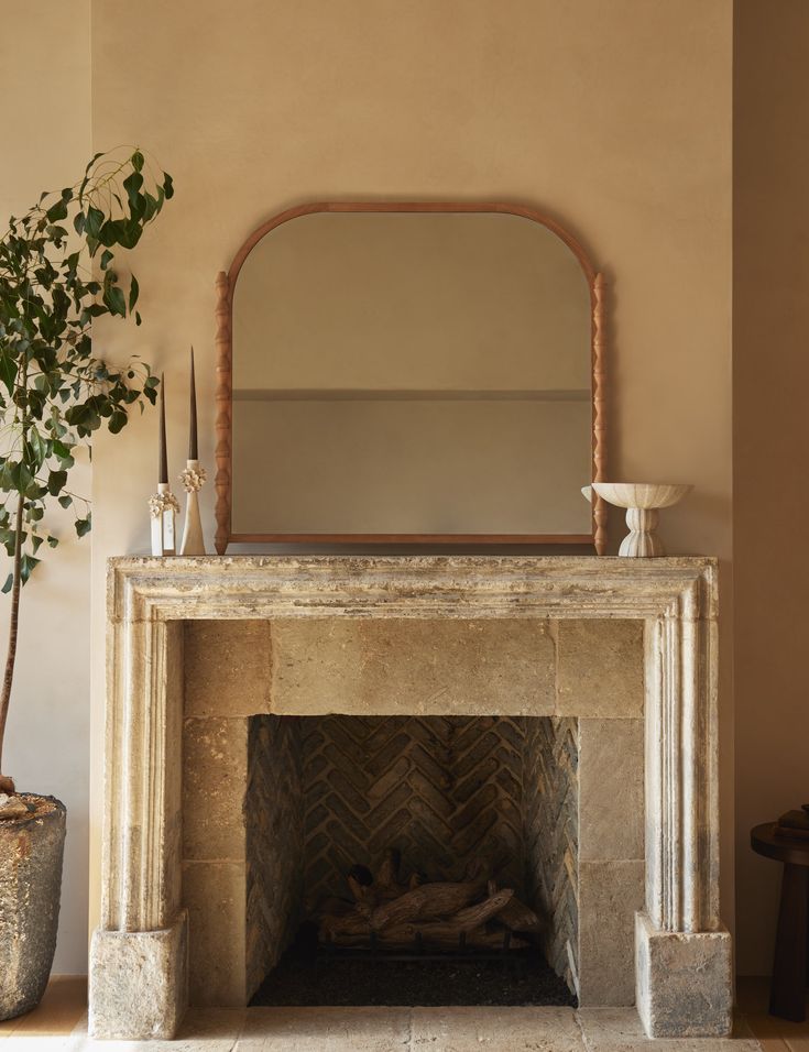 a fireplace with a mirror above it and a potted plant in front of it