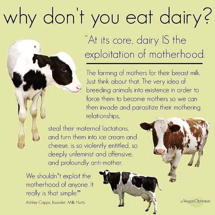 two cows and one cow standing next to each other with the words why don't you eat dairy? at its core, dairy is the explanation of motherhood