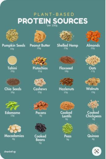 the plant based protein sources are shown in this chart, which includes different types of beans and