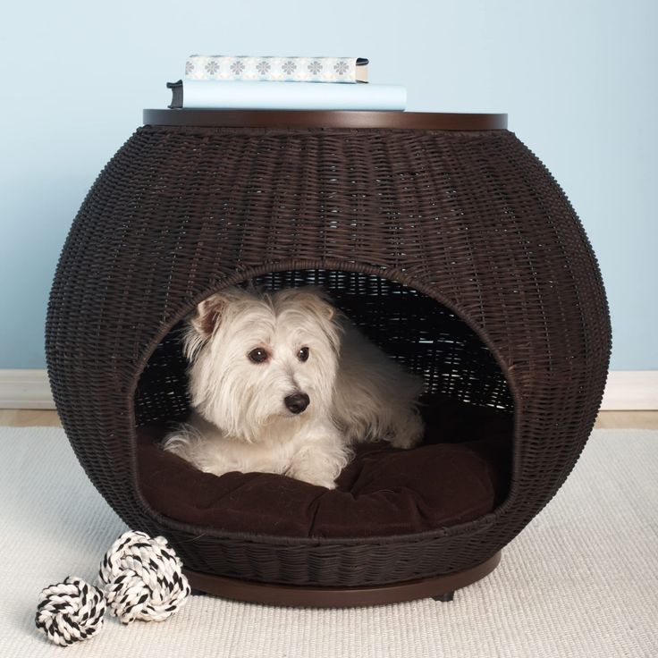 a small white dog laying in a wicker bed