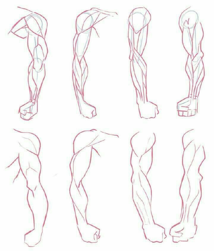 the legs and arms are shown in this drawing lesson