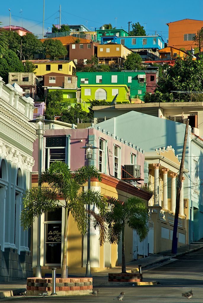 a row of colorful houses on the side of a road with palm trees in front of them