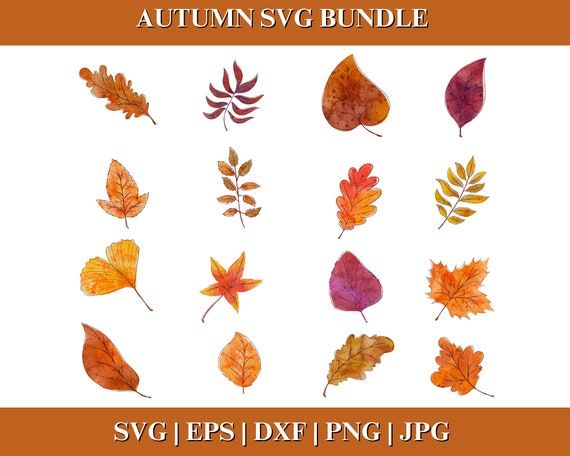 the autumn leaves svg bundle is shown