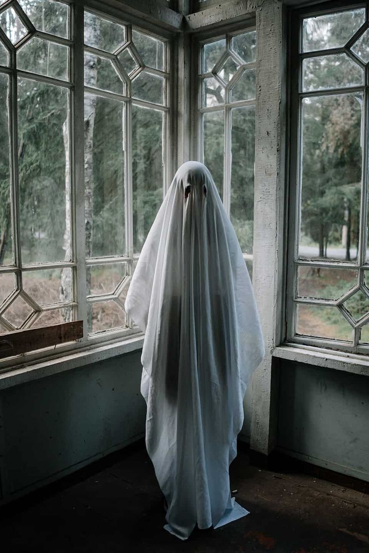 a ghostly ghost standing in front of a window wearing a long white veil and headdress