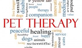 the word pet therapy written in different languages