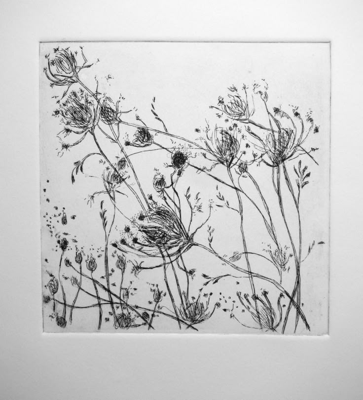 black and white drawing of wildflowers on paper