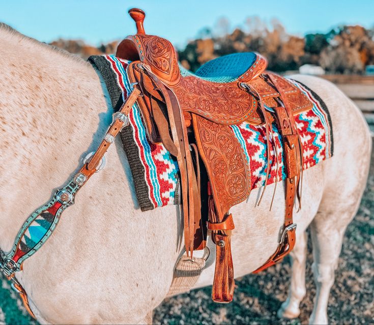 a white horse wearing a saddle on its back