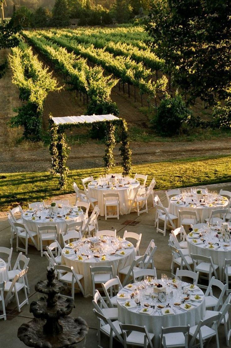 tables and chairs are set up in the middle of an outdoor area with rows of vines