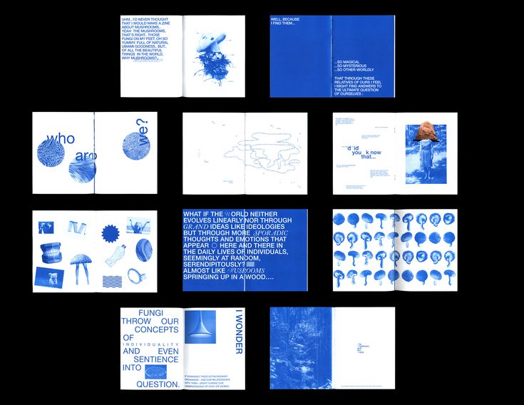 an assortment of blue and white brochures are arranged on a black background,